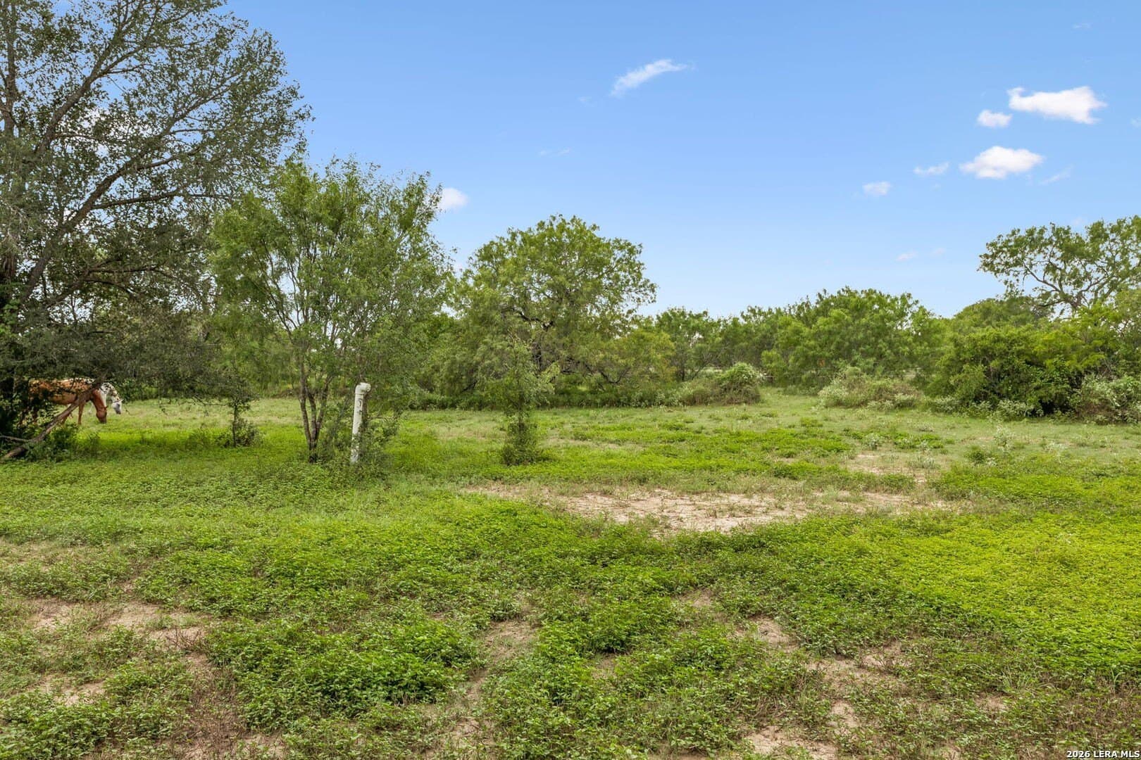17.43 acres in Bexar County - photo 10