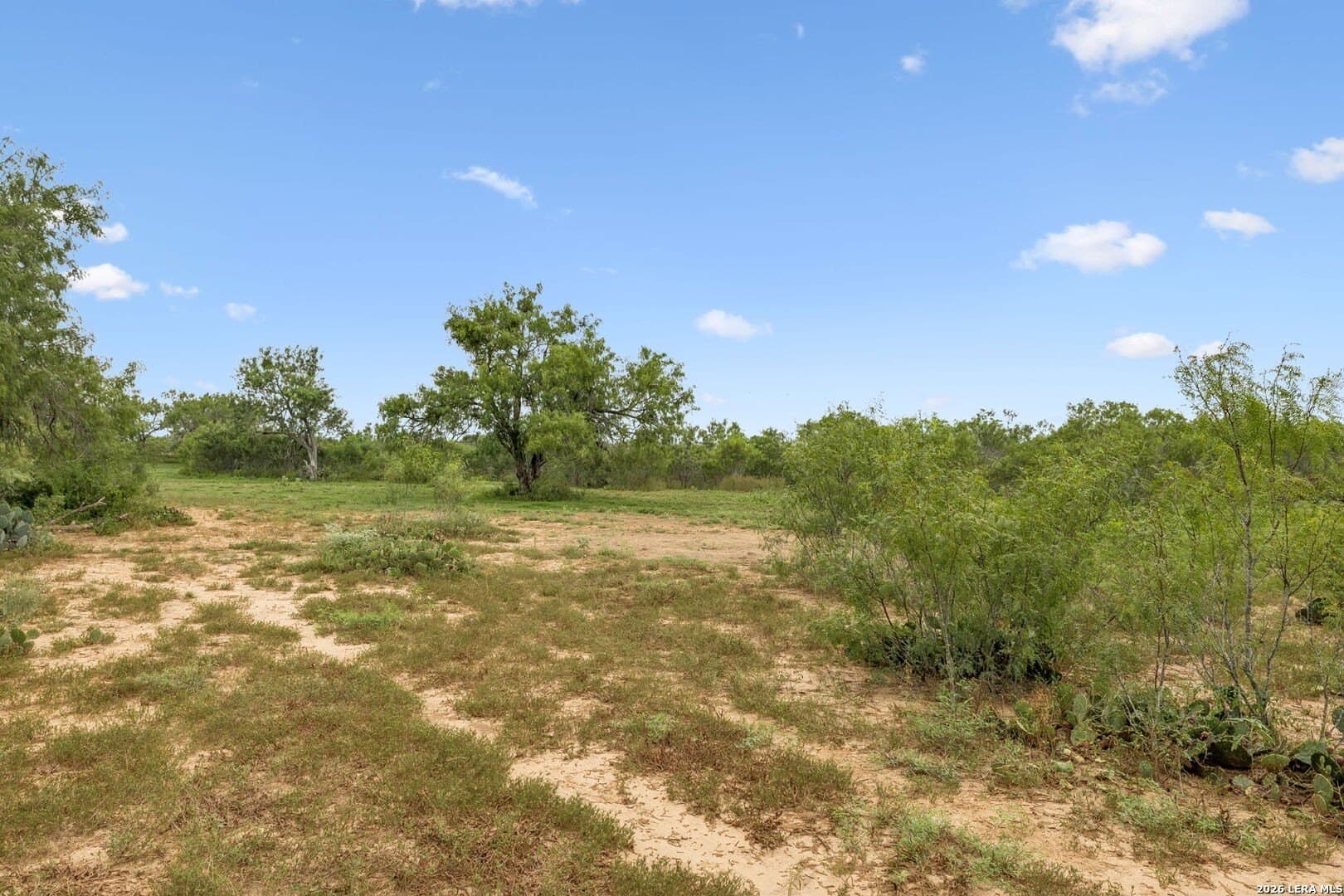 17.43 acres in Bexar County gallery image 2