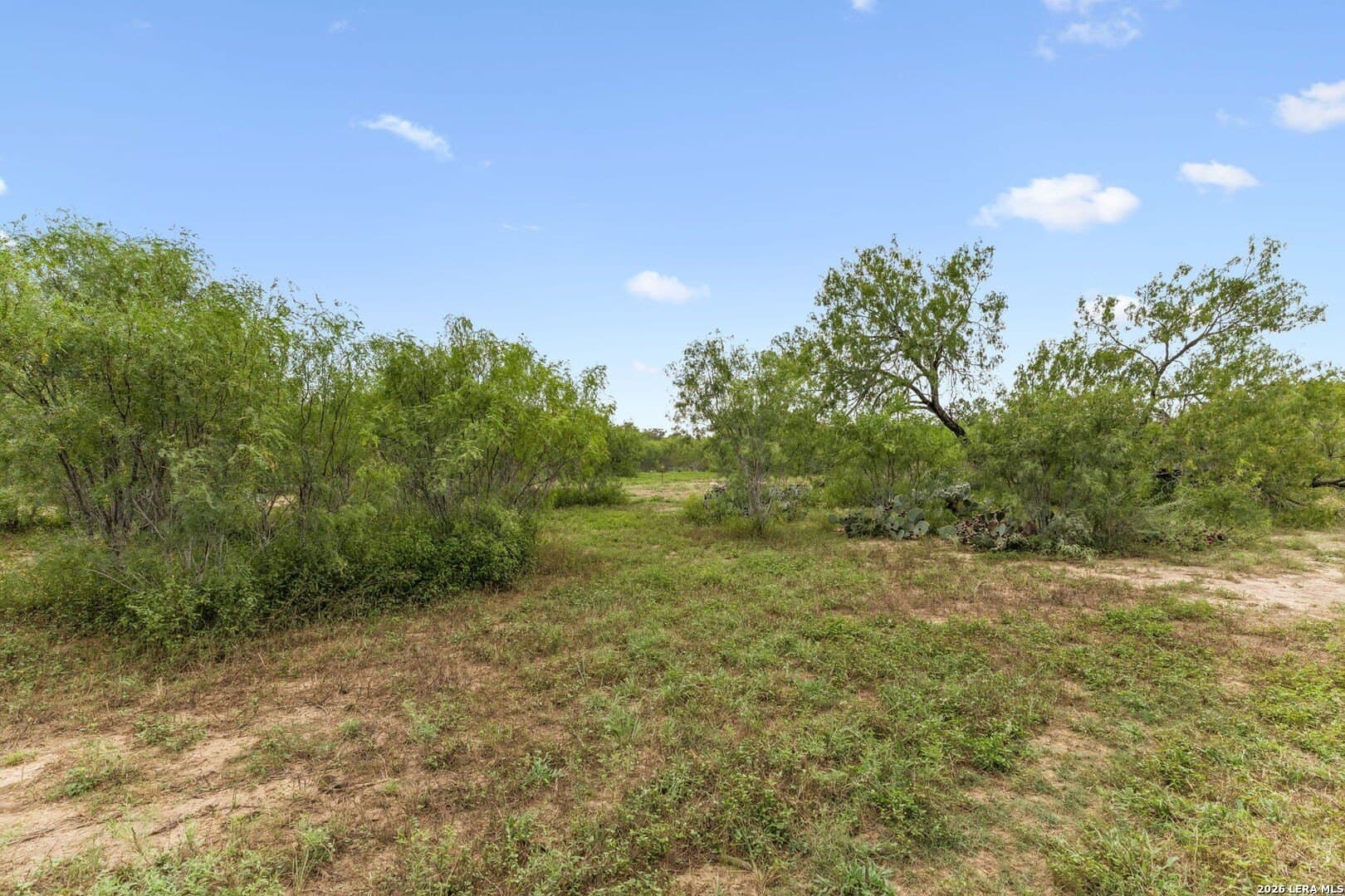 17.43 acres in Bexar County featured view