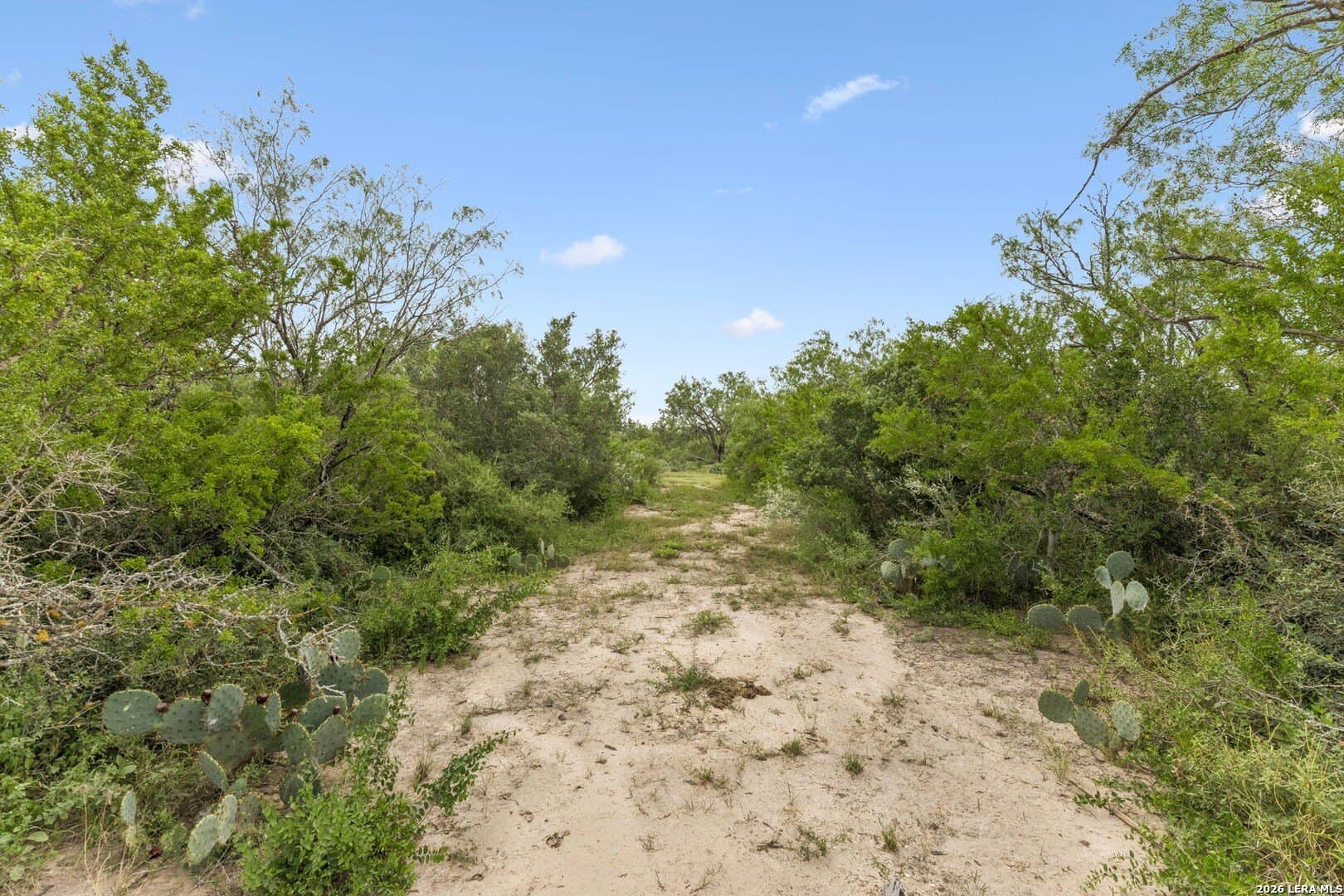 17.43 acres in Bexar County - photo 14