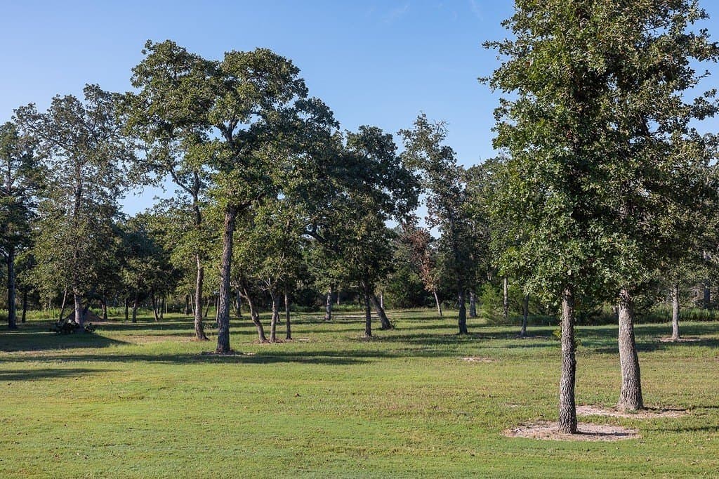 10.15 acres in Fayette County - photo 14