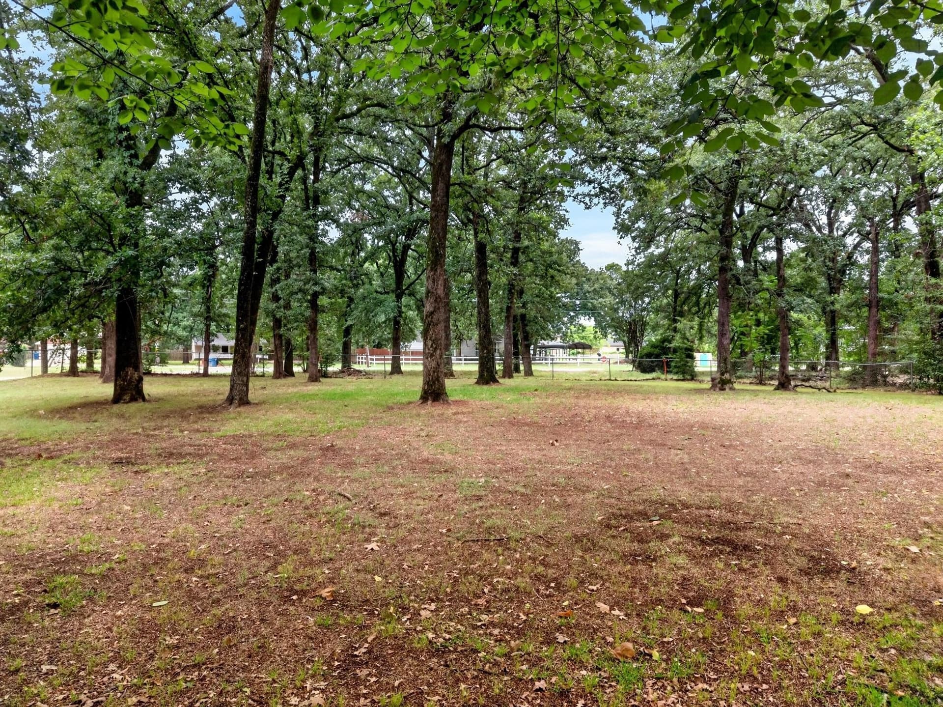 0.2 acres in Henderson County - photo 6