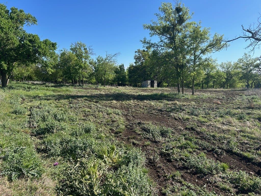 1.64 acres in Gillespie County gallery image 2