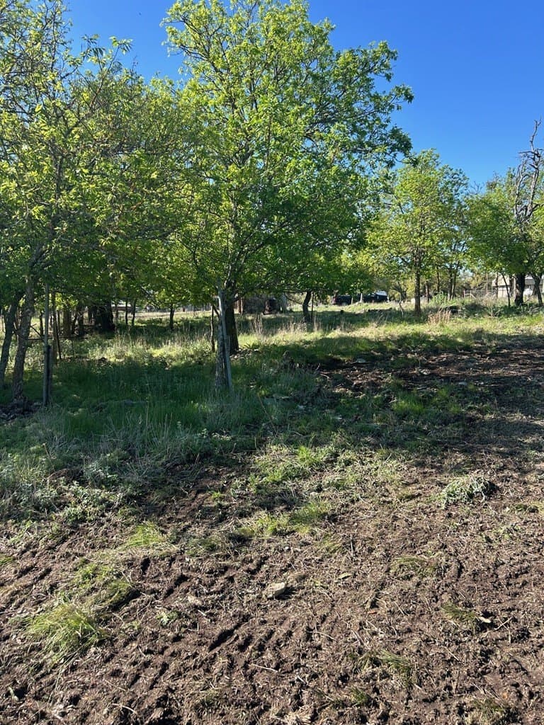 1.64 acres in Gillespie County featured view