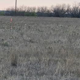 12 acres in Hamilton County gallery image 4