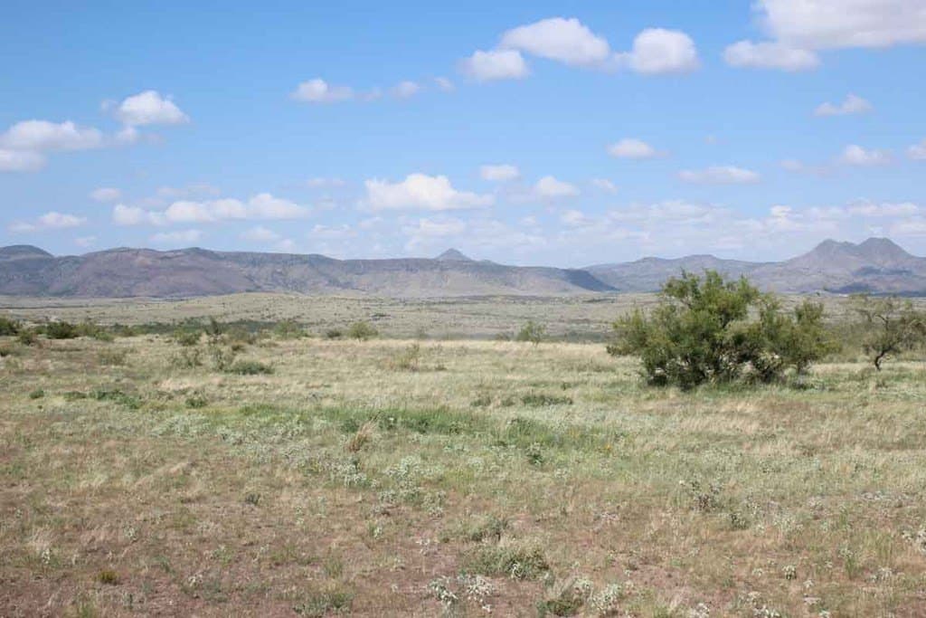 33.81 acres in Brewster County - photo 8