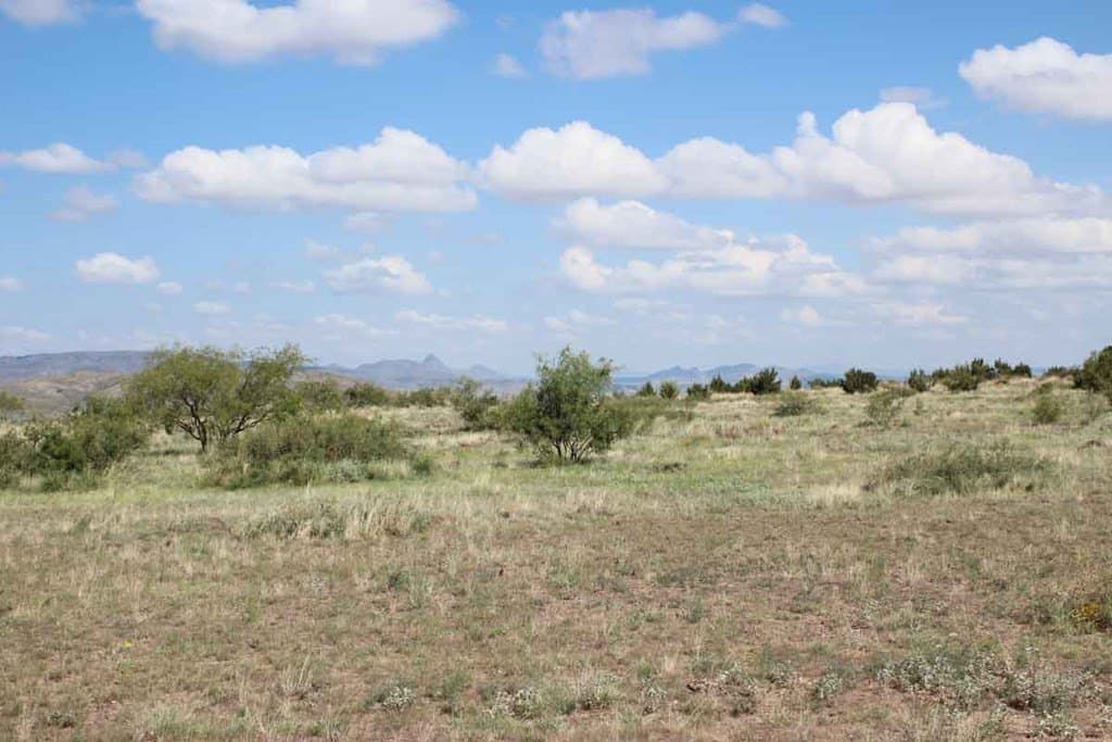33.81 acres in Brewster County - photo 7
