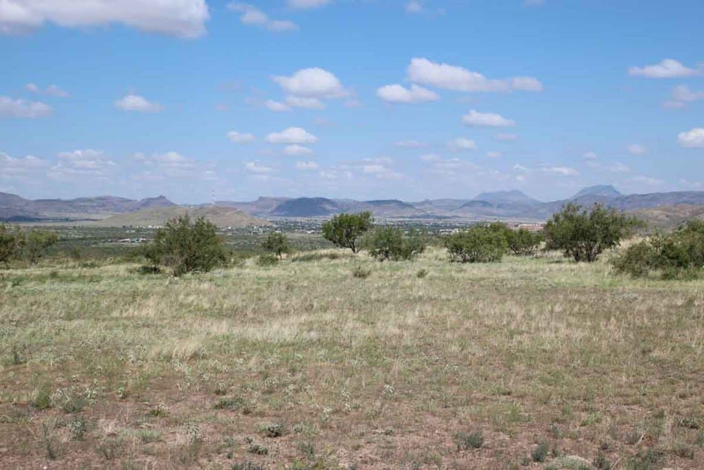33.81 acres in Brewster County - photo 6