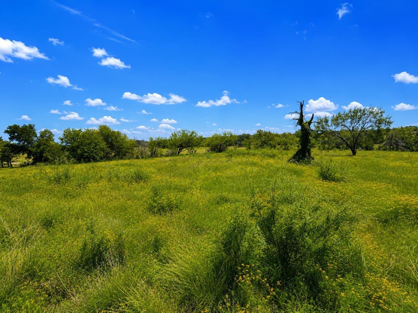 3 acres in Kaufman County - photo 5