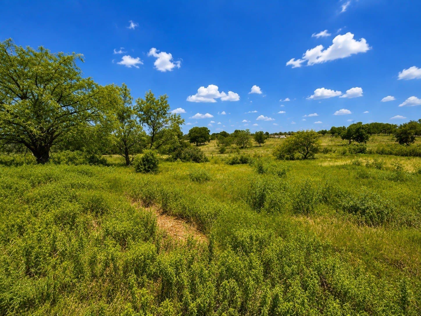 3 acres in Kaufman County - photo 3