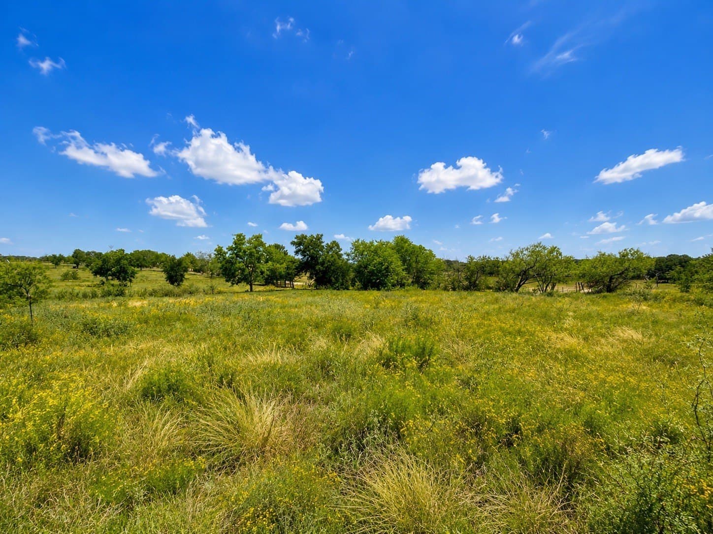 3 acres in Kaufman County - photo 4