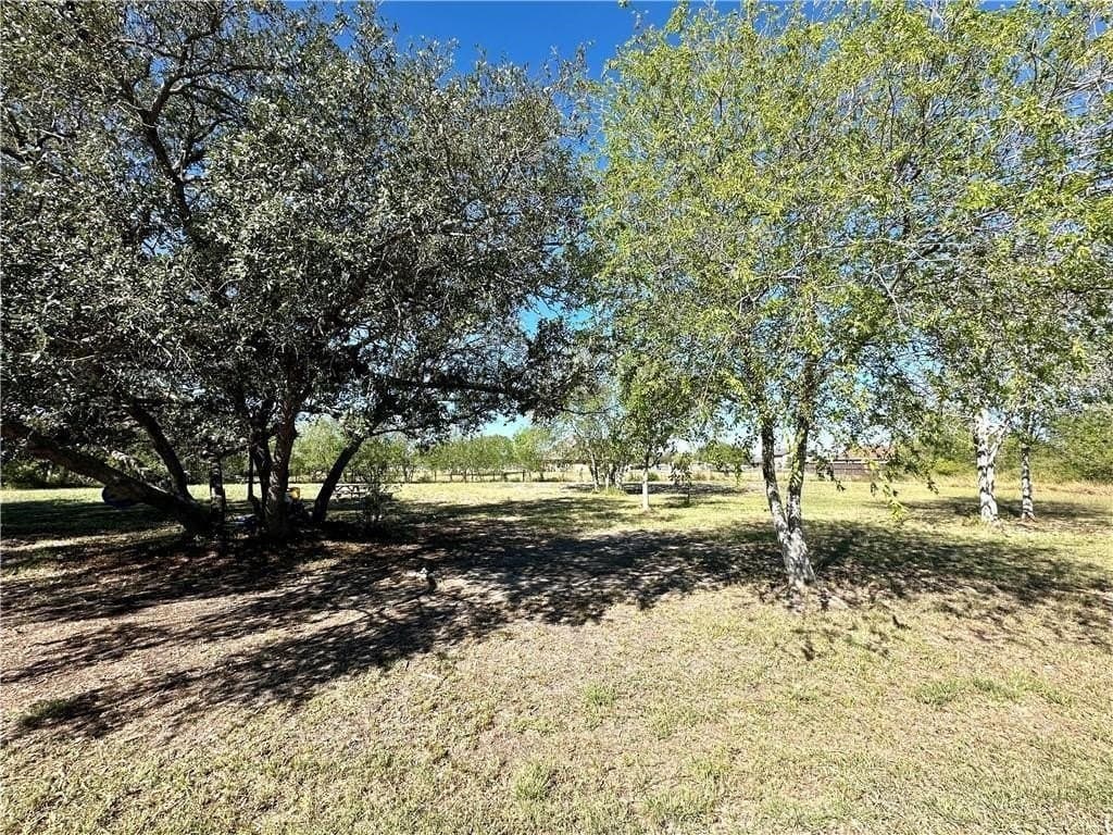 0.89 acres in San Patricio County gallery image 4