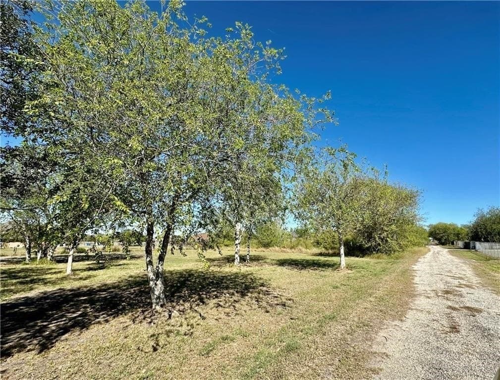 0.89 acres in San Patricio County gallery image 3