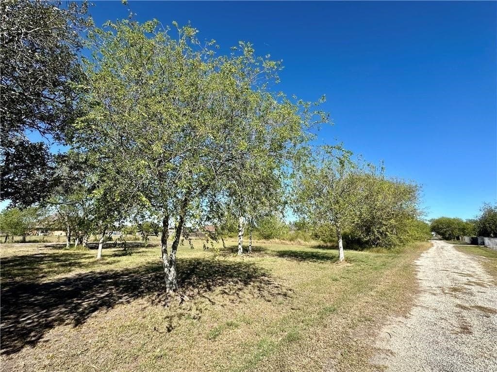 0.89 acres in San Patricio County gallery image 2