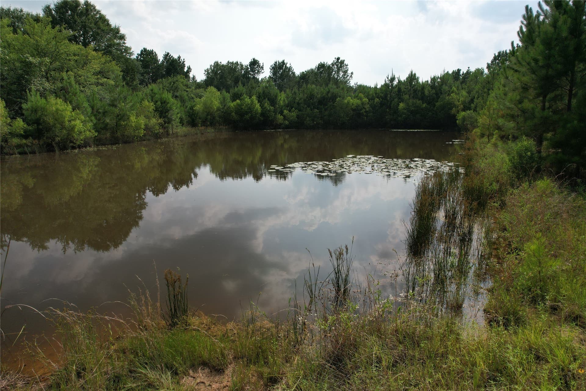 14.5 acres in Rains County - photo 37