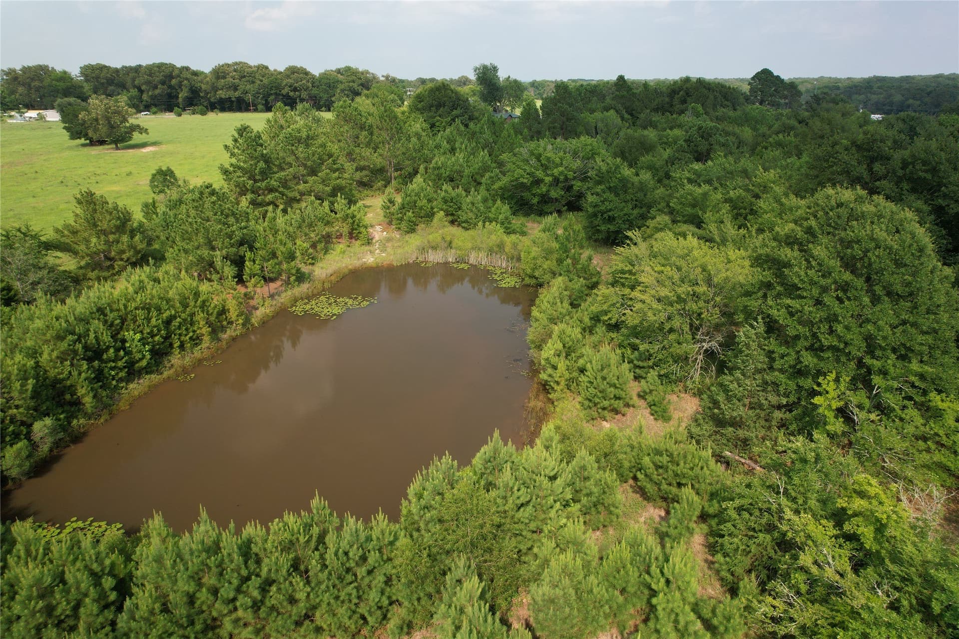 14.5 acres in Rains County - photo 36