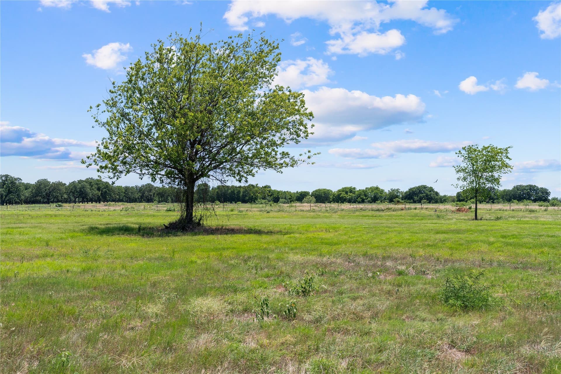 1 acres in Hill County - photo 3