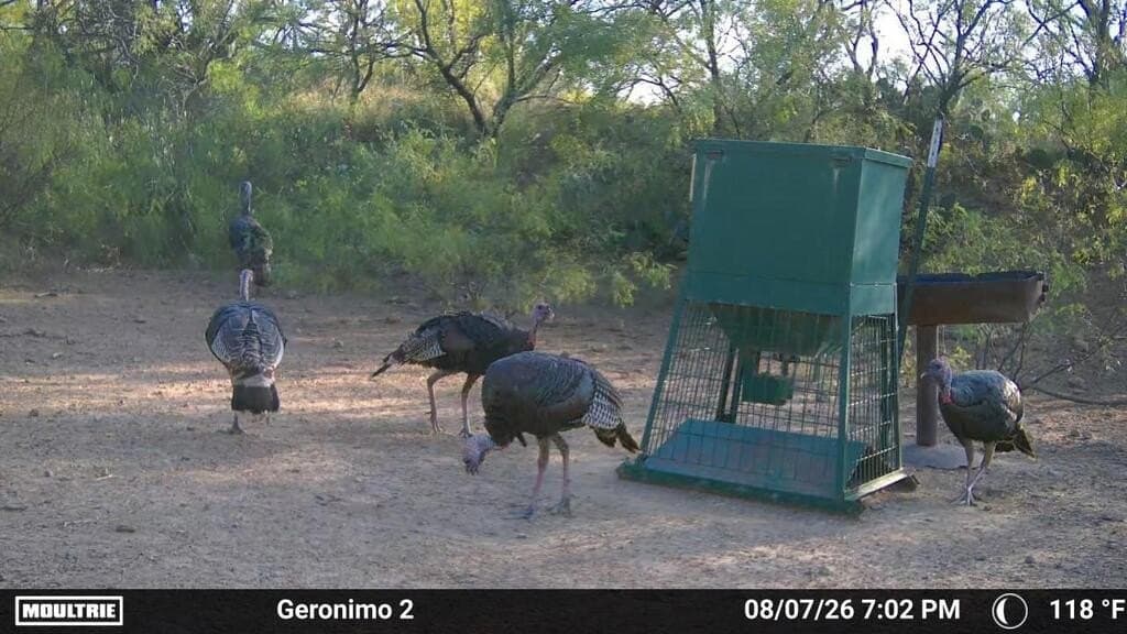 127 acres in Coleman County - photo 32