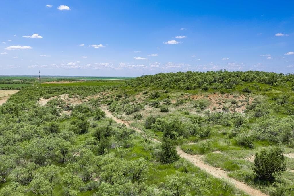 127 acres in Coleman County - photo 20