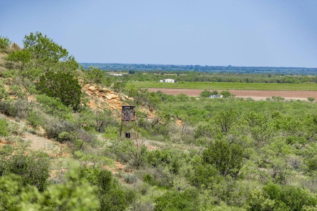 127 acres in Coleman County - photo 8