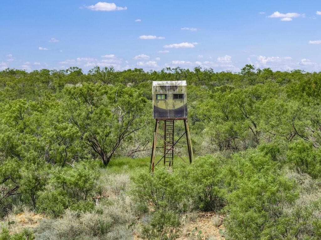 127 acres in Coleman County - photo 29