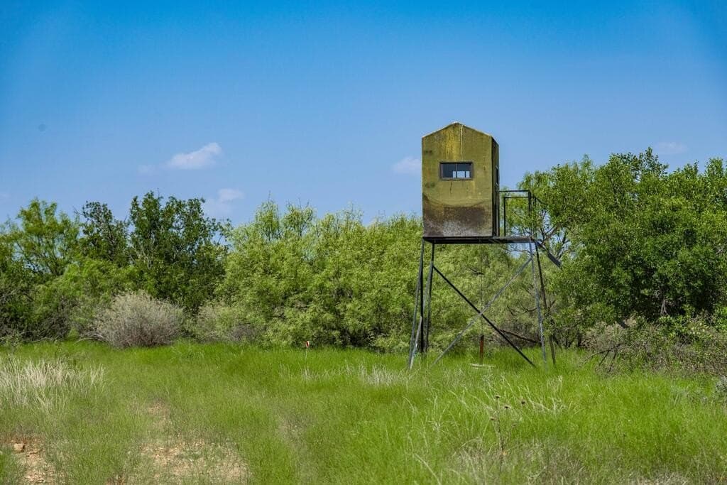 127 acres in Coleman County - photo 14