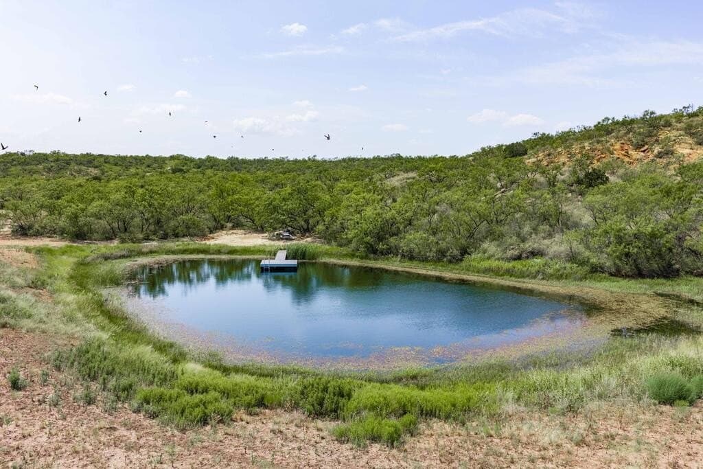 127 acres in Coleman County - photo 7