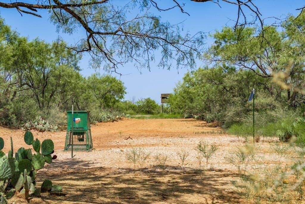 127 acres in Coleman County - photo 16