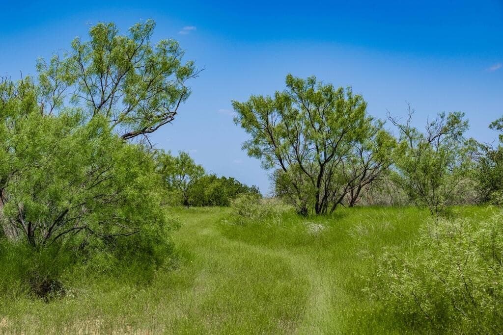 127 acres in Coleman County - photo 13