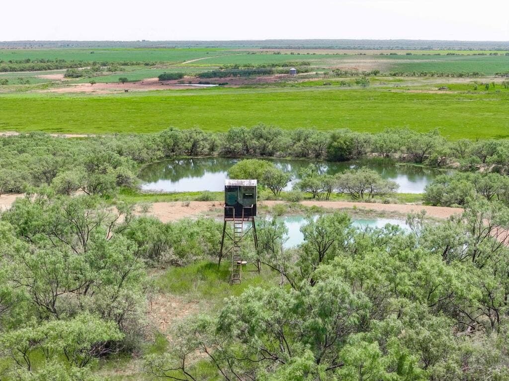 127 acres in Coleman County - photo 26