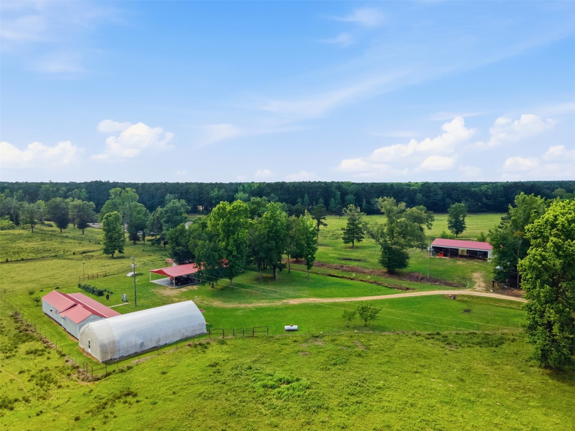 62 acres in Bowie County gallery image 2