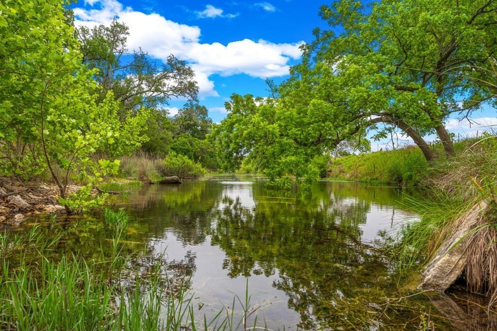 23.95 acres in Gillespie County - photo 13