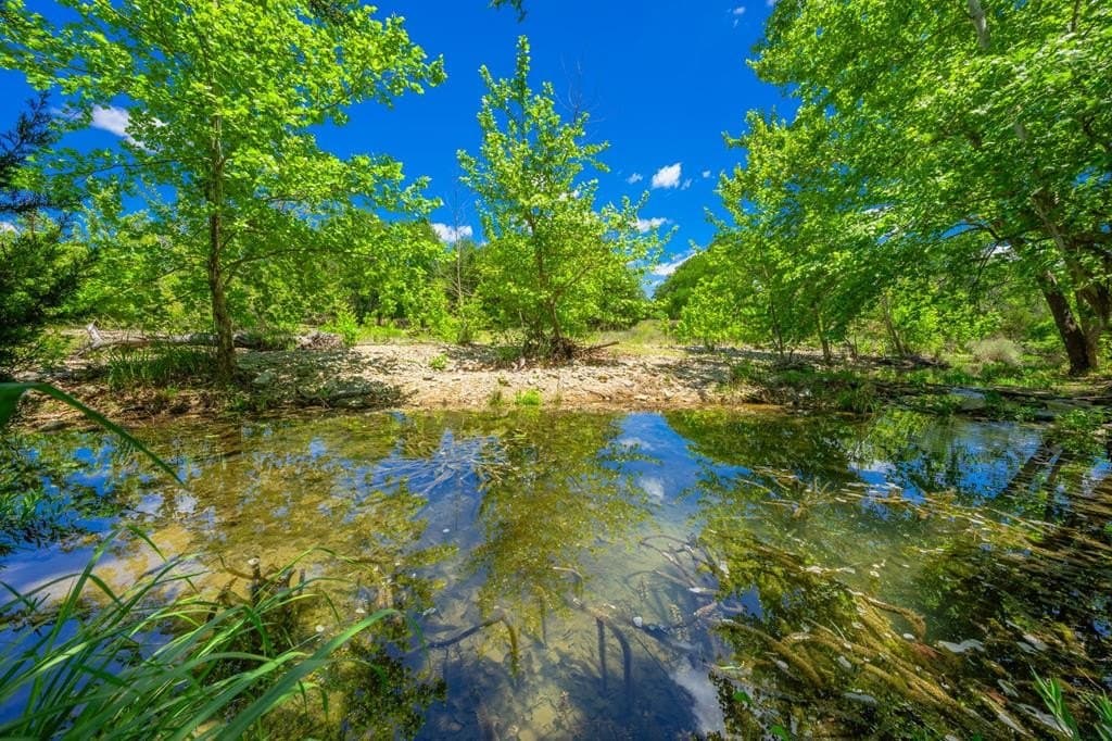 23.95 acres in Gillespie County - photo 12