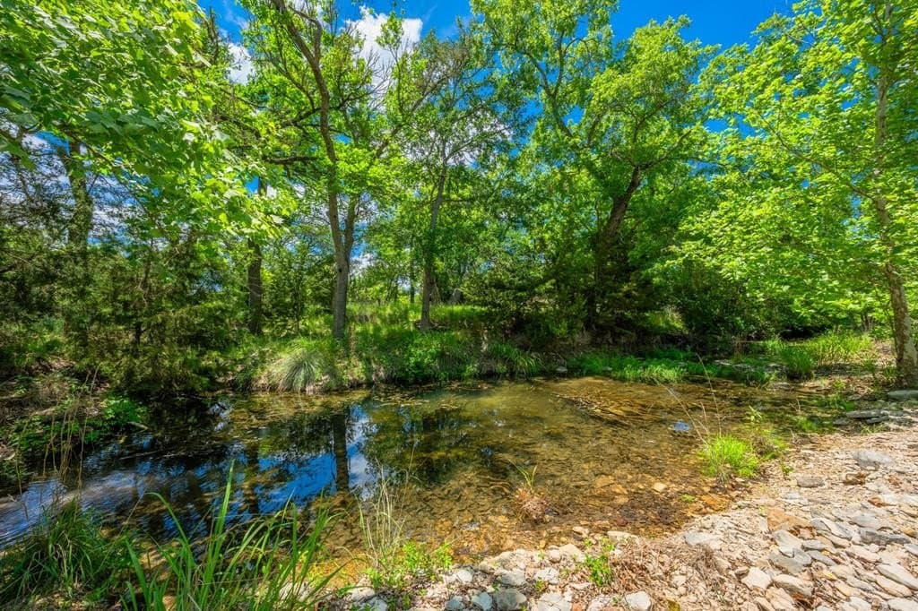 23.95 acres in Gillespie County - photo 15