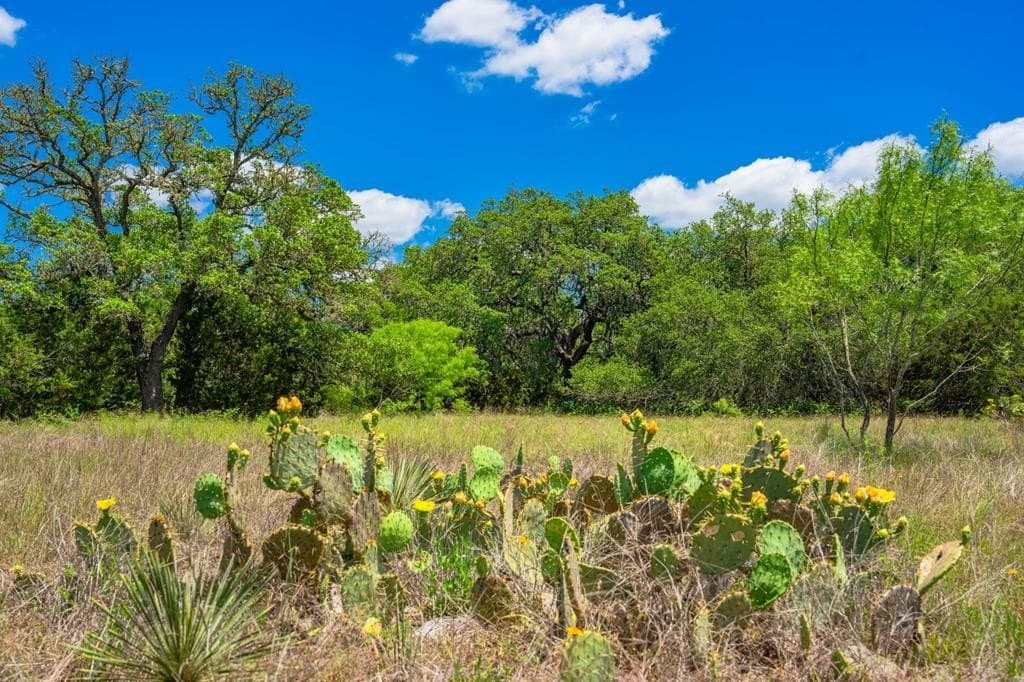 23.95 acres in Gillespie County - photo 44