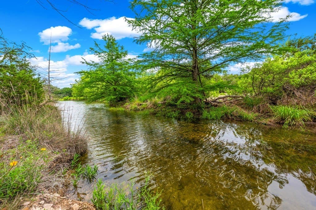 23.95 acres in Gillespie County - photo 10