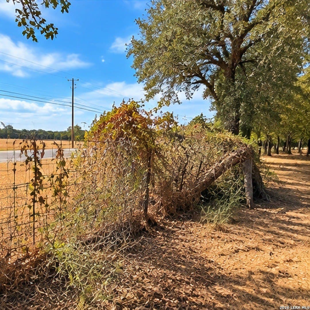 2 acres in Bastrop County - photo 14