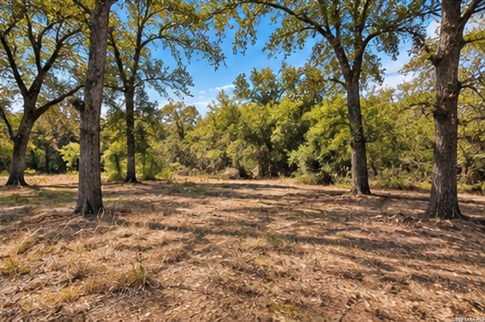 2 acres in Bastrop County - photo 10