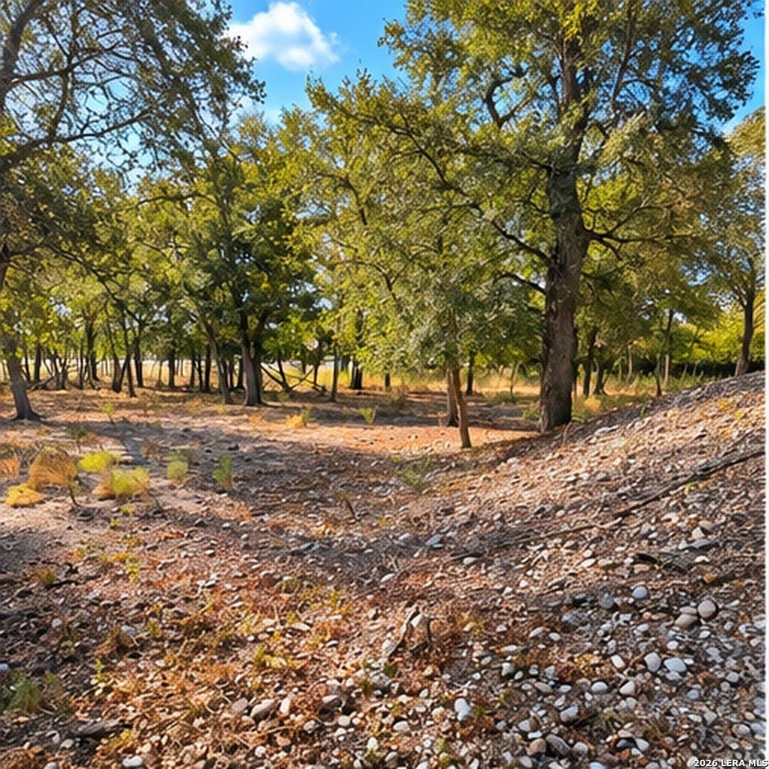 2 acres in Bastrop County - photo 12