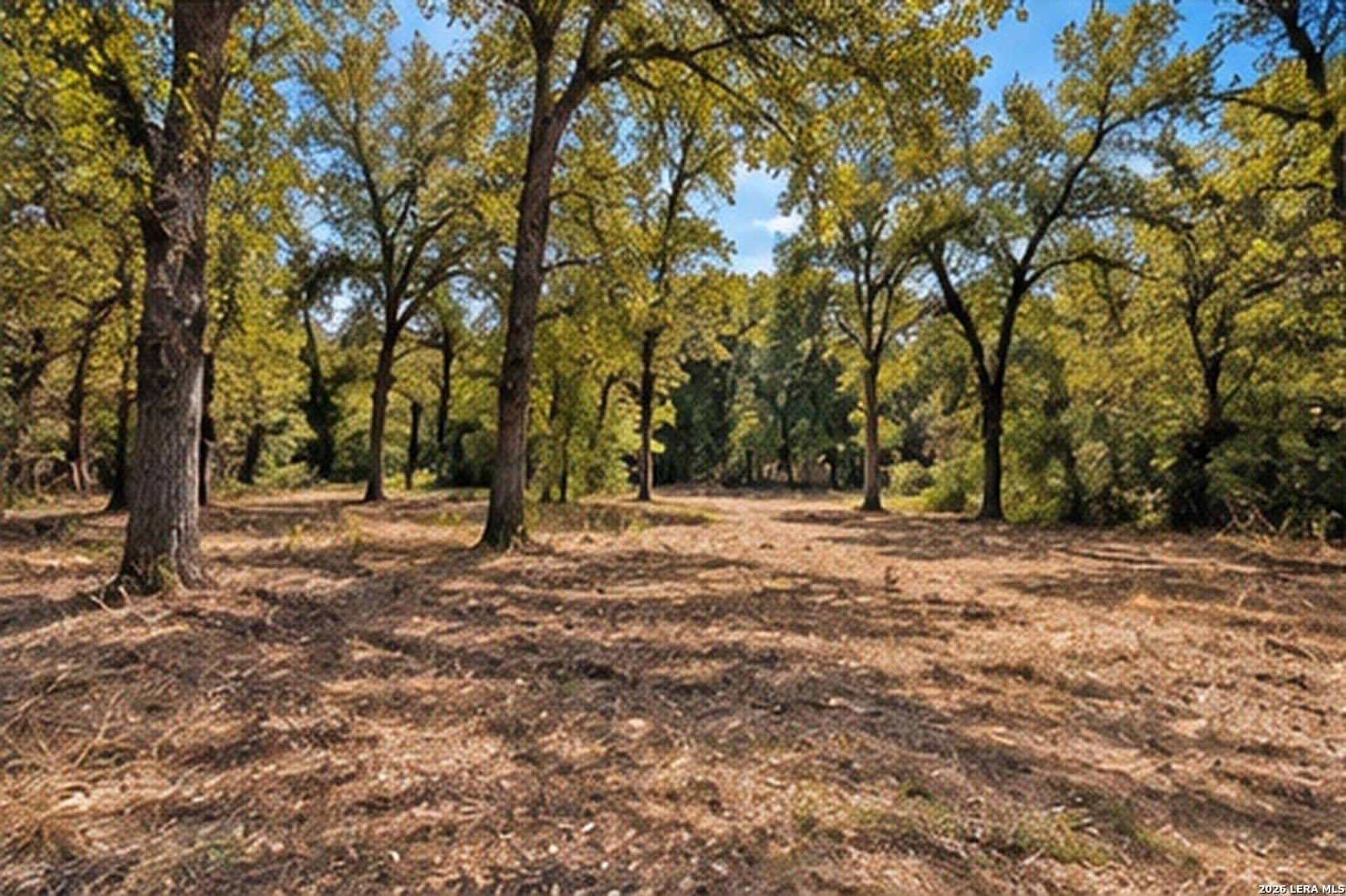 2 acres in Bastrop County - photo 6