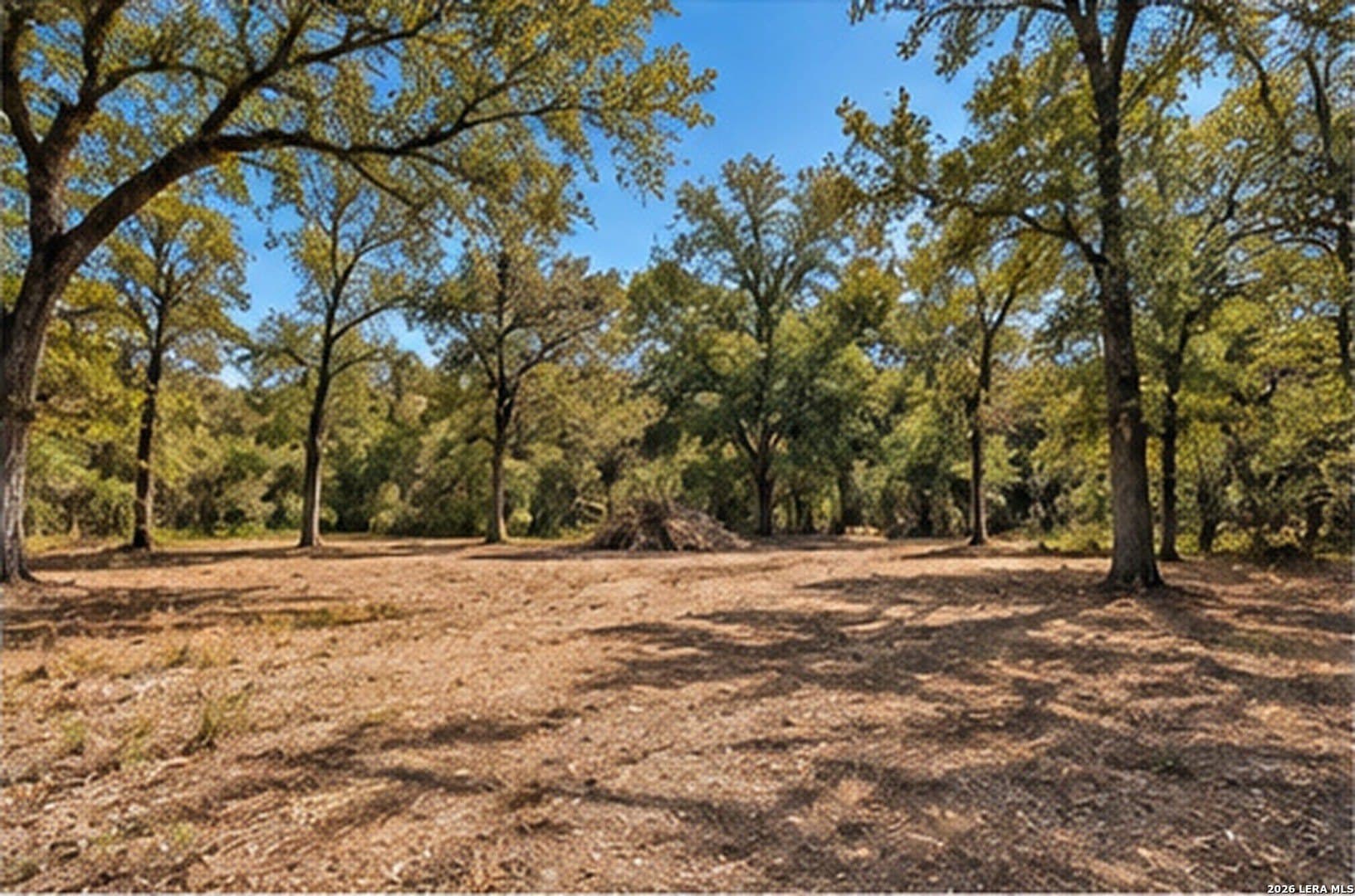 2 acres in Bastrop County - photo 5
