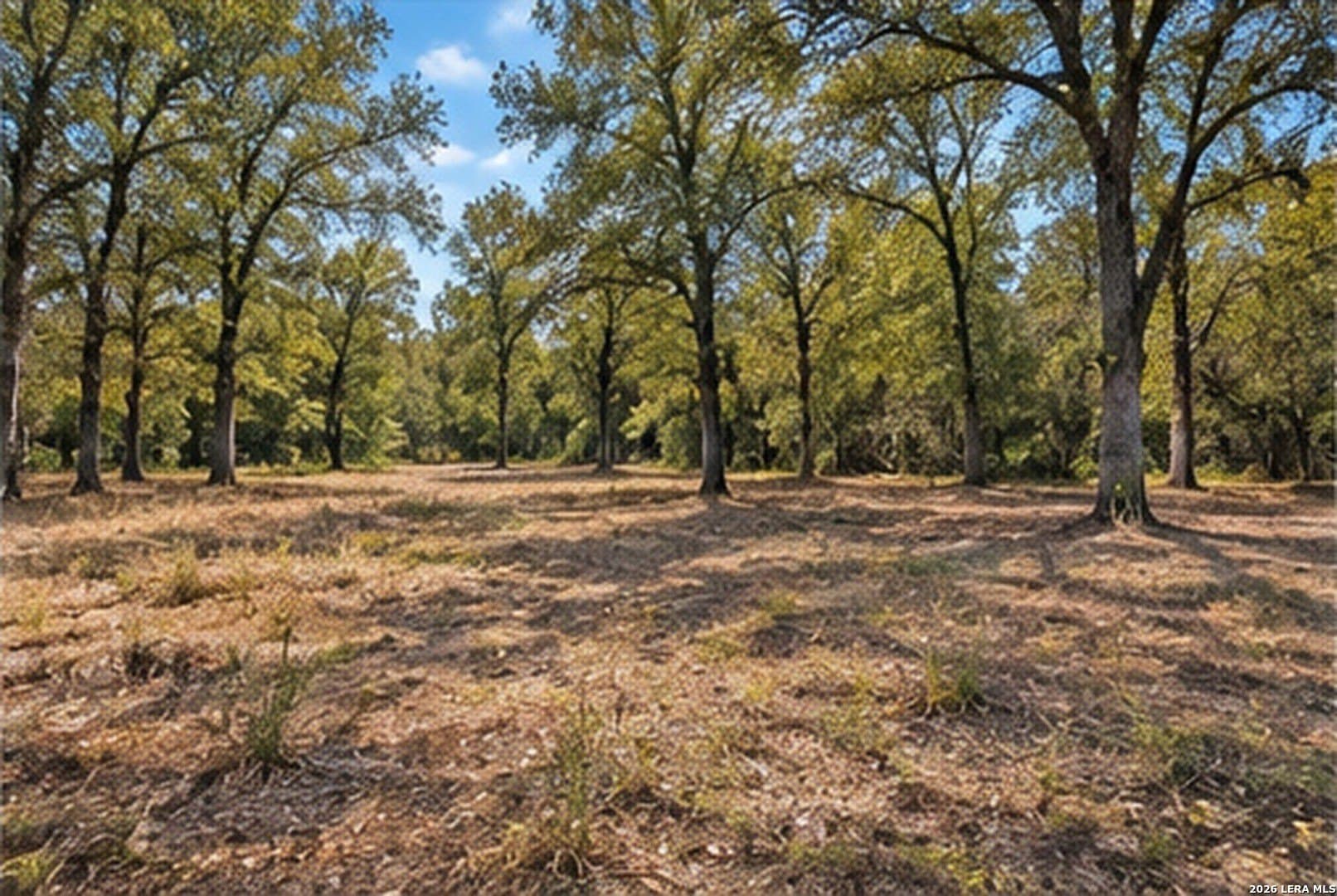 2 acres in Bastrop County - photo 11