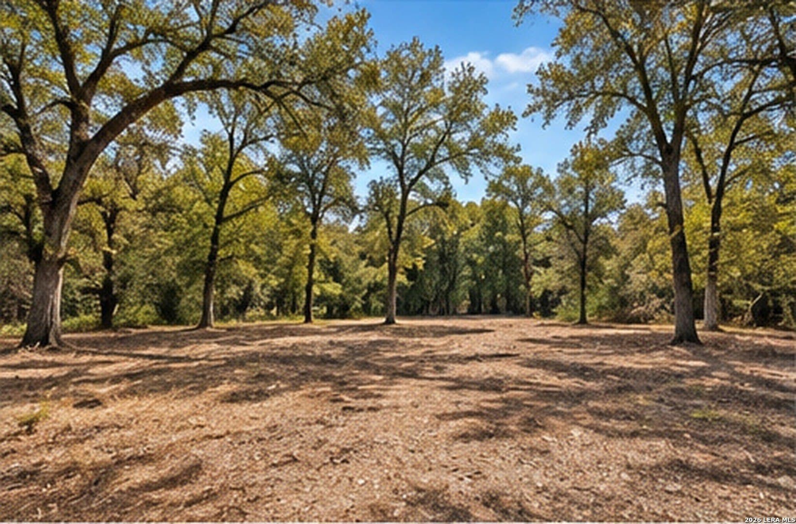 2 acres in Bastrop County - photo 4
