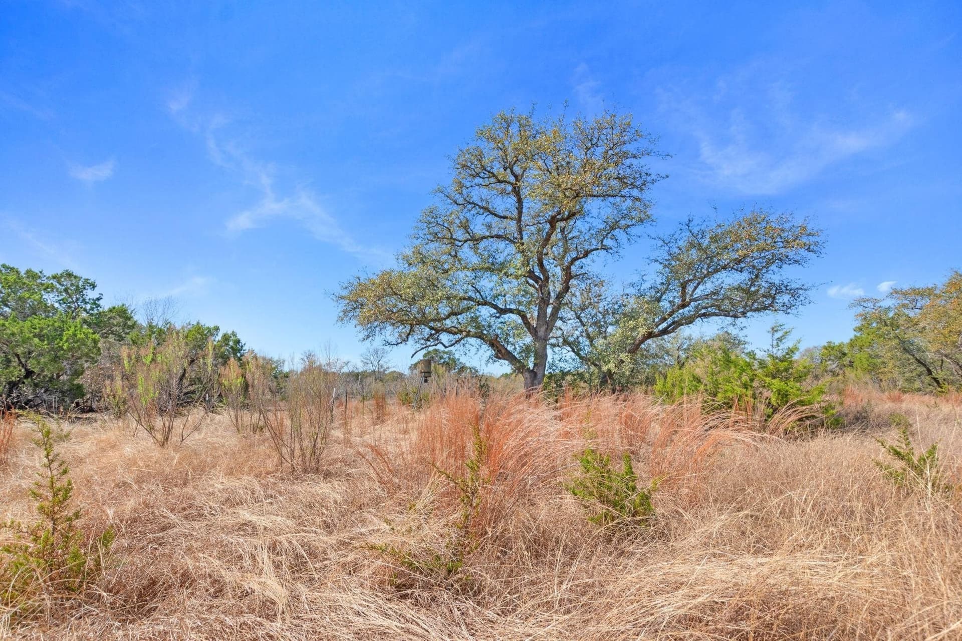 19.14 acres in Burnet County - photo 8