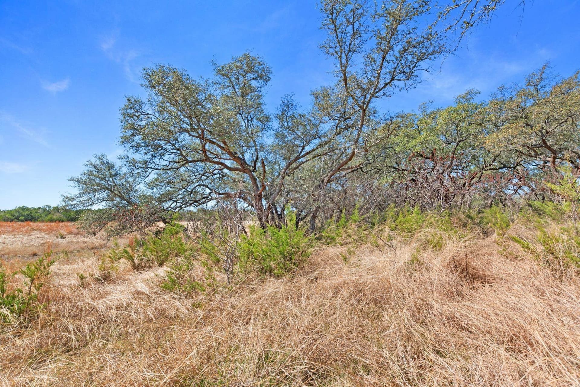 19.14 acres in Burnet County - photo 6