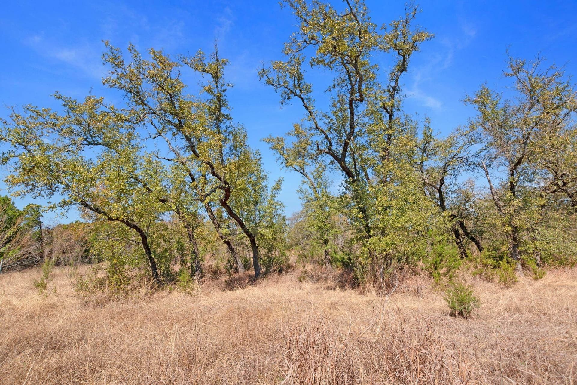 19.14 acres in Burnet County - photo 9