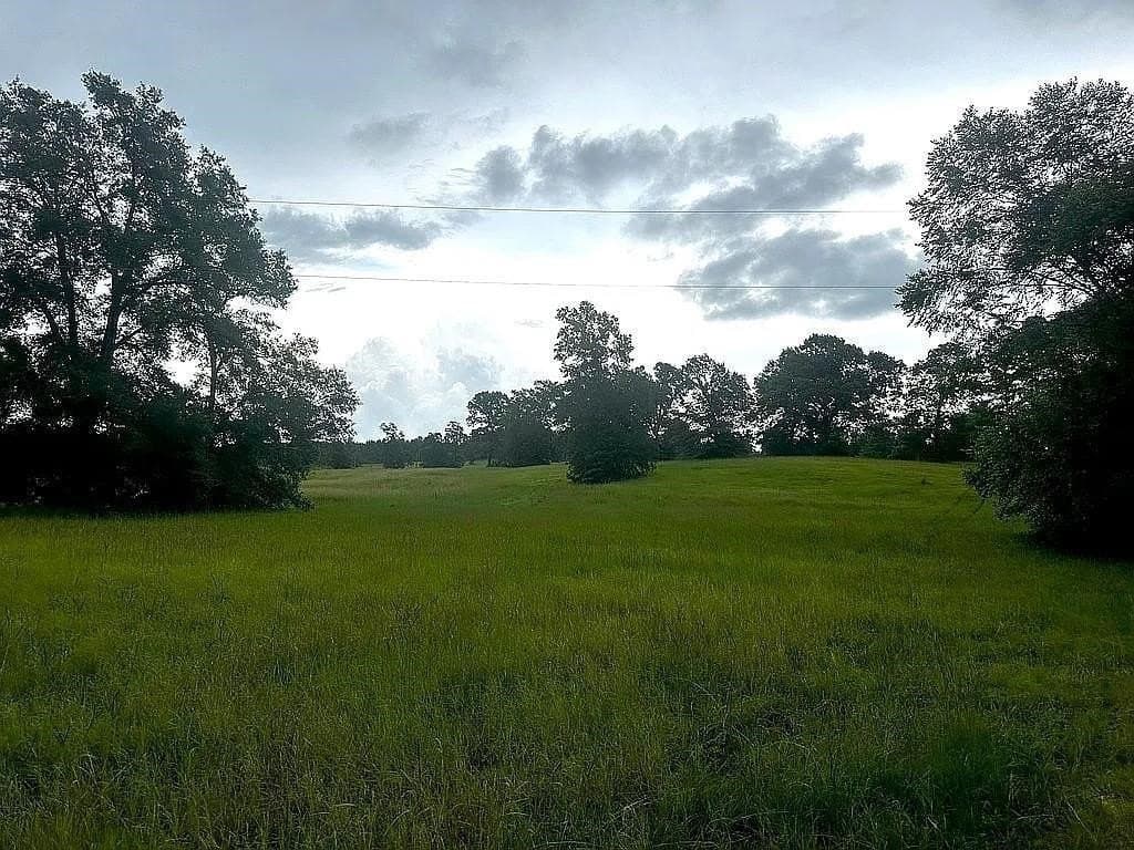 24 acres in Cherokee County - photo 13