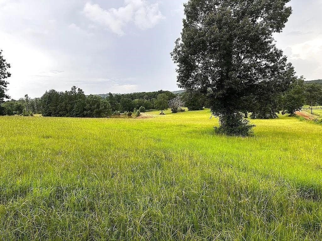 24 acres in Cherokee County - photo 6