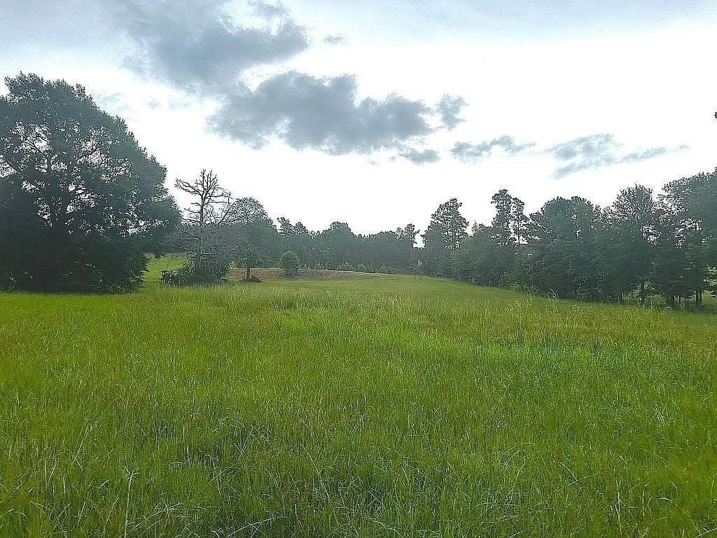 24 acres in Cherokee County - photo 17