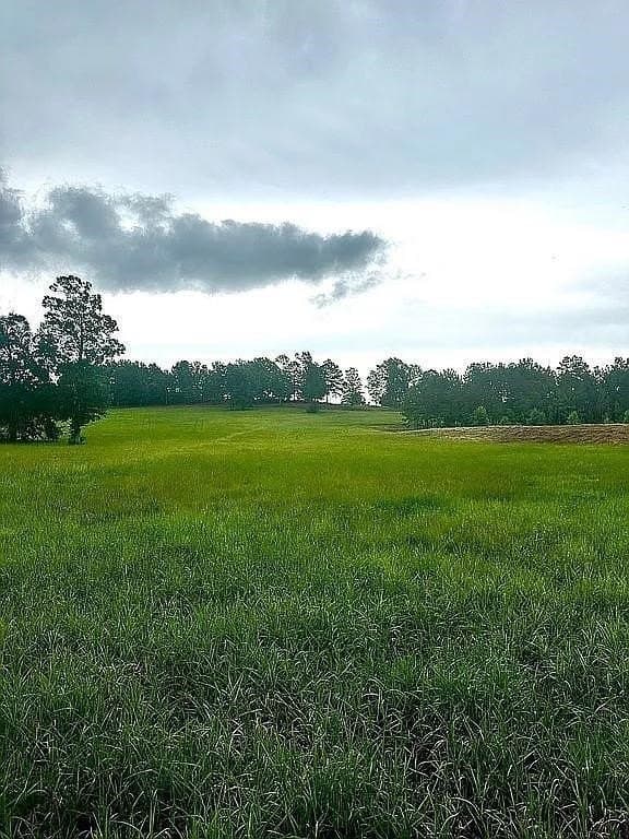 24 acres in Cherokee County - photo 18
